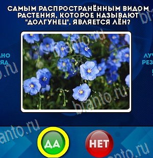 Да или Нет решения Уровень 6312