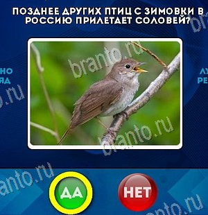 Да или Нет подсказки в контакте Уровень 6339