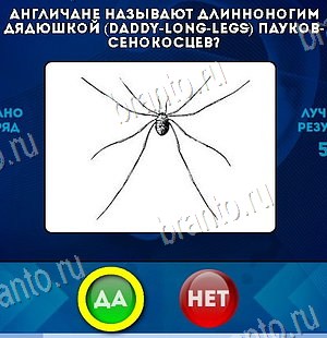 решебник на игру Да или Нет Уровень 6341