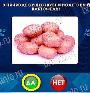 Да или Нет игра помощь Уровень 6345