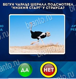 Игра Да или Нет ответы Уровень 6347