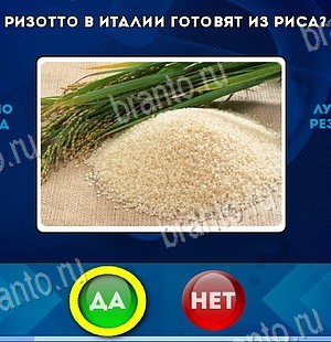 решебник на игру Да или Нет Уровень 6351