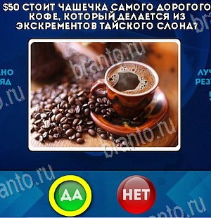 ответы на игру Да или Нет в одноклассниках Уровень 6361