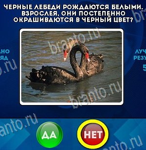 Игра Да или Нет ответы Уровень 6387