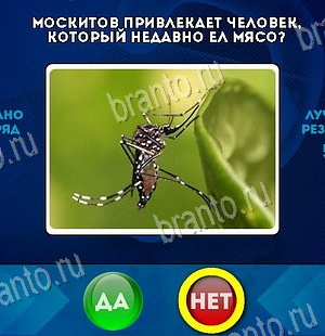 решебник на игру Да или Нет Уровень 6401