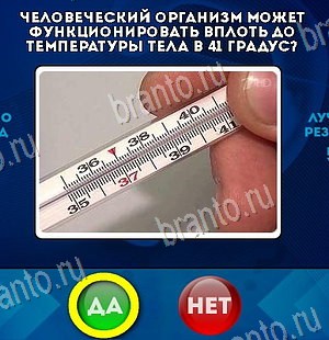 Да или Нет игра ответы Уровень 6413
