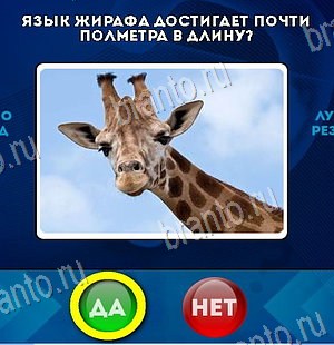 Да или Нет игра подсказки Уровень 6414