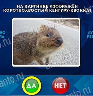 Игра Да или Нет ответы Уровень 6417