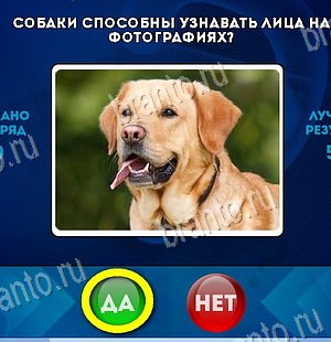 Да или Нет игра ответы в одноклассниках Уровень 6427