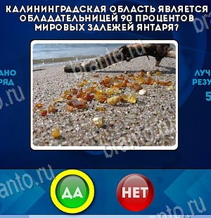 Да или Нет игра ответы в одноклассниках Уровень 6457