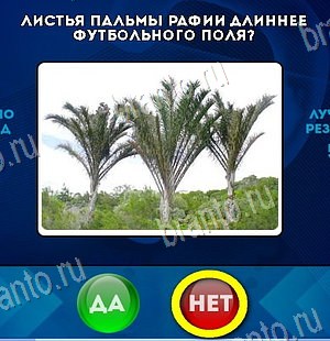 Да или Нет игра ответы Уровень 6463