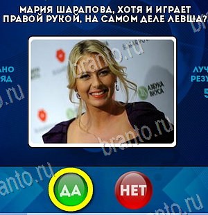 Да или Нет игра подсказки Уровень 6464
