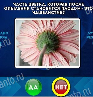 Игра Да или Нет ответы Уровень 6467