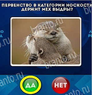 игра Да или Нет ответ на Уровень 6470