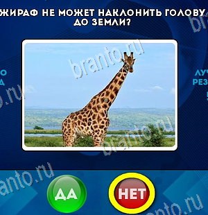 игра Да или Нет ответ на Уровень 6490