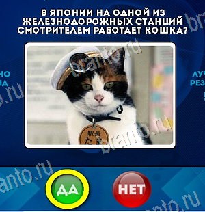 Игра Да или Нет подсказки Уровень 6498