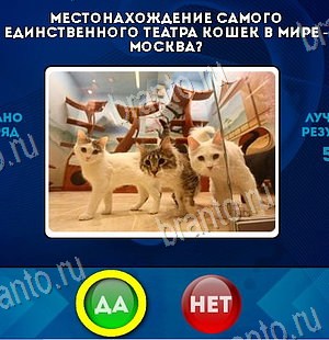 игра Да или Нет помощь Уровень 6499