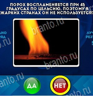 решебник на игру Да или Нет Уровень 6501