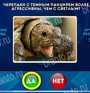 Игра Да или Нет ответы Уровень 6507