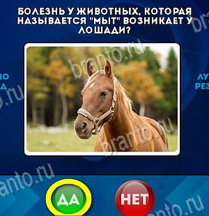 игра Да или Нет помощь Уровень 6509
