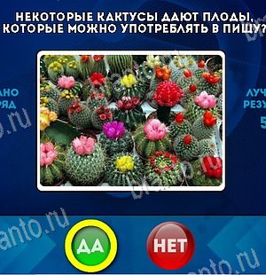 Да или Нет игра ответы в одноклассниках Уровень 6517