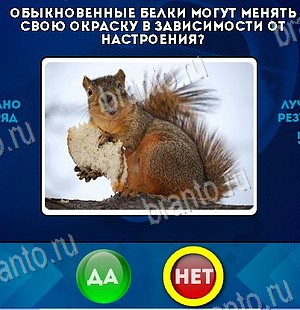 Да или Нет подсказки в контакте Уровень 6519