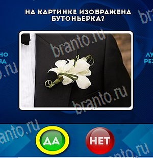 игра Да или Нет ответ на Уровень 6520