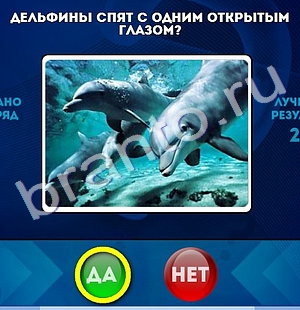 ответы на игру в одноклассниках Да или Нет Уровень 546