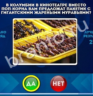 Да или Нет решения Уровень 552