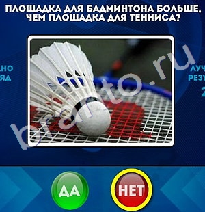 Игра Да или Нет подсказки Уровень 558