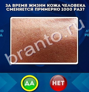Да или Нет игра ответы Уровень 563