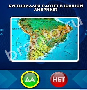 Игра Да или Нет ответы Уровень 647