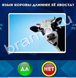 ответы на игру в одноклассниках Да или Нет Уровень 666