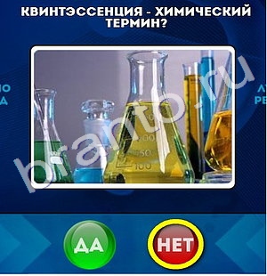 Да или Нет игра ответы Уровень 673