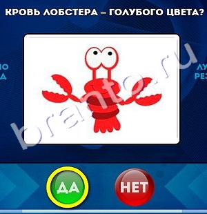 Игра Да или Нет ответы Уровень 677