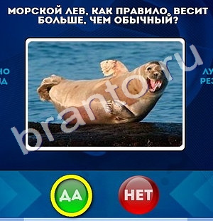 Подсказки на игру Да или Нет Уровень 692