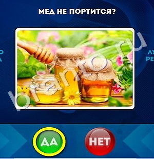 Решения на игру Да или Нет Уровень 693