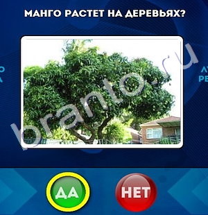 Да или Нет решения Уровень 702