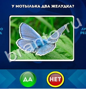 Да или Нет игра ответы Уровень 703