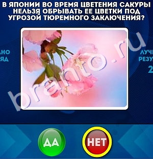 Игра Да или Нет ответы Уровень 717