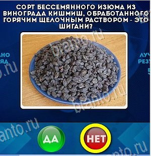 решебник на игру Да или Нет Уровень 6551