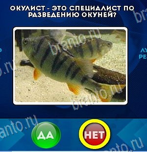 Да или Нет игра ответы Уровень 6553