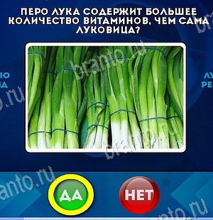 Да или Нет игра подсказки Уровень 6554