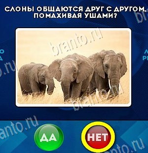ответы на игру в одноклассниках Да или Нет Уровень 6576