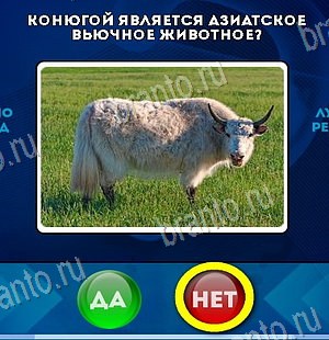 решебник на игру Да или Нет Уровень 6581