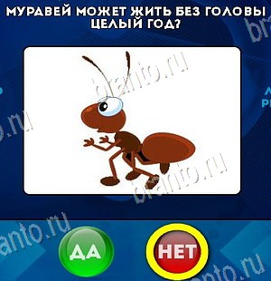 Да или Нет ответы в картинках Уровень 6586