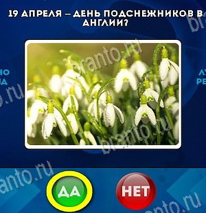 игра Да или Нет ответ на Уровень 6590