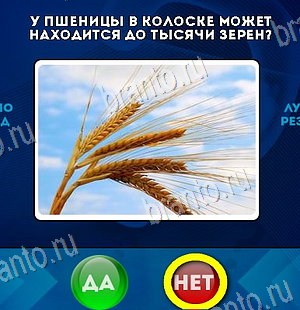 Да или Нет ответы в картинках Уровень 6596