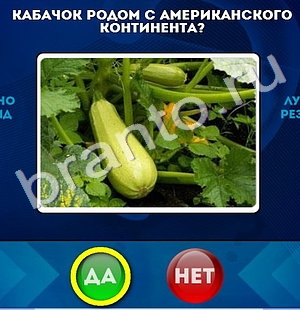 ответы на игру Да или Нет в одноклассниках Уровень 721