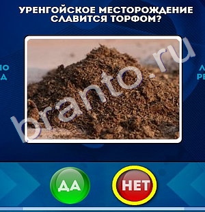 Одноклассники Да или Нет ответы Уровень 728